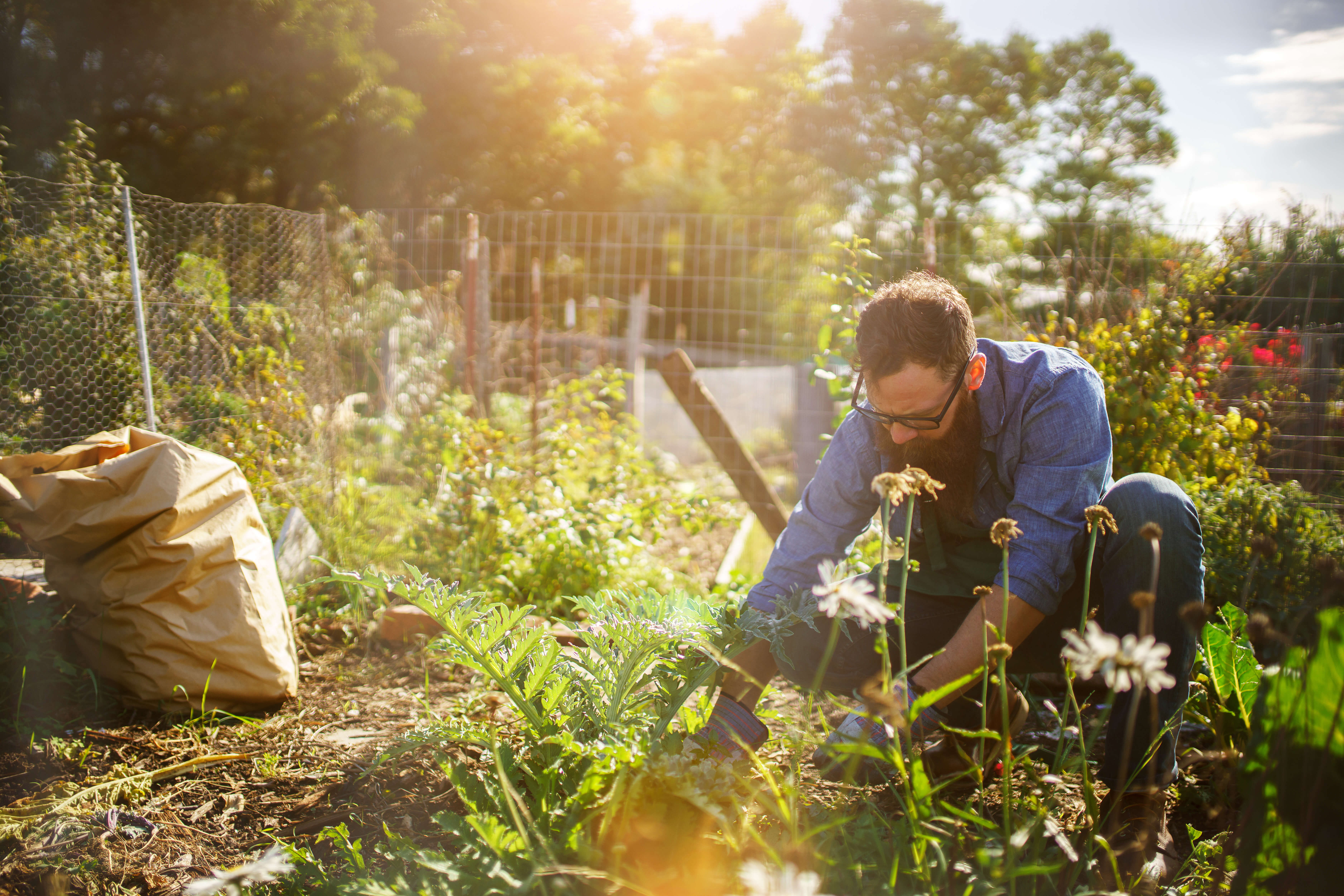 Garden work. Сад и огород. Огород весной. Парень в саду. Огород в июле.